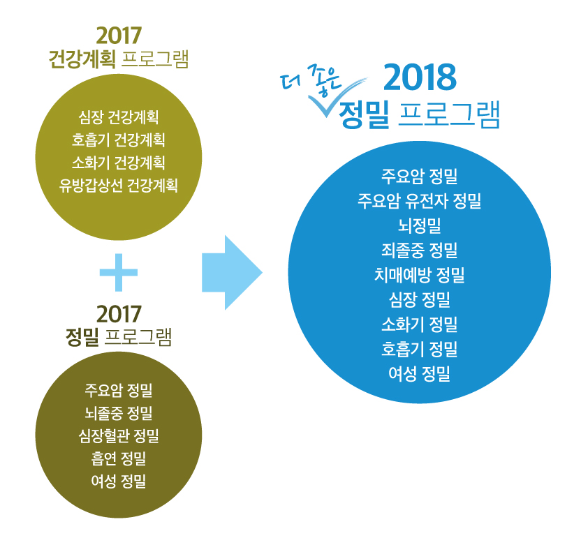 모식도
