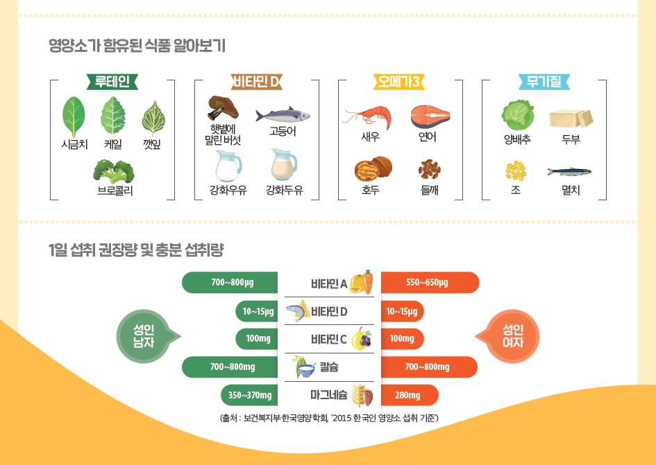 비타민 1