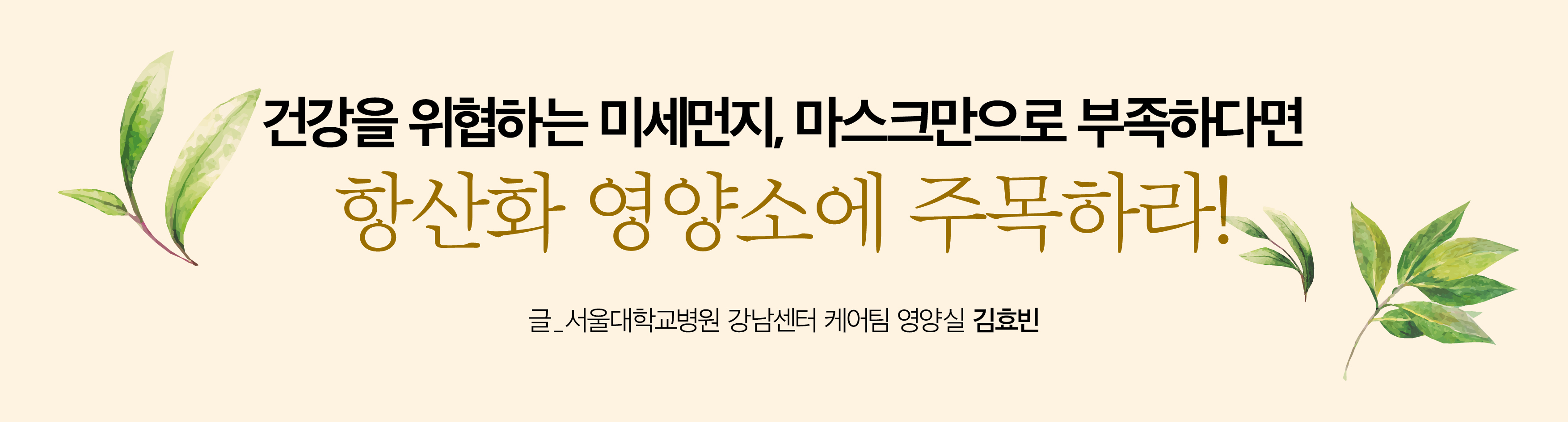 항산화 타이틀