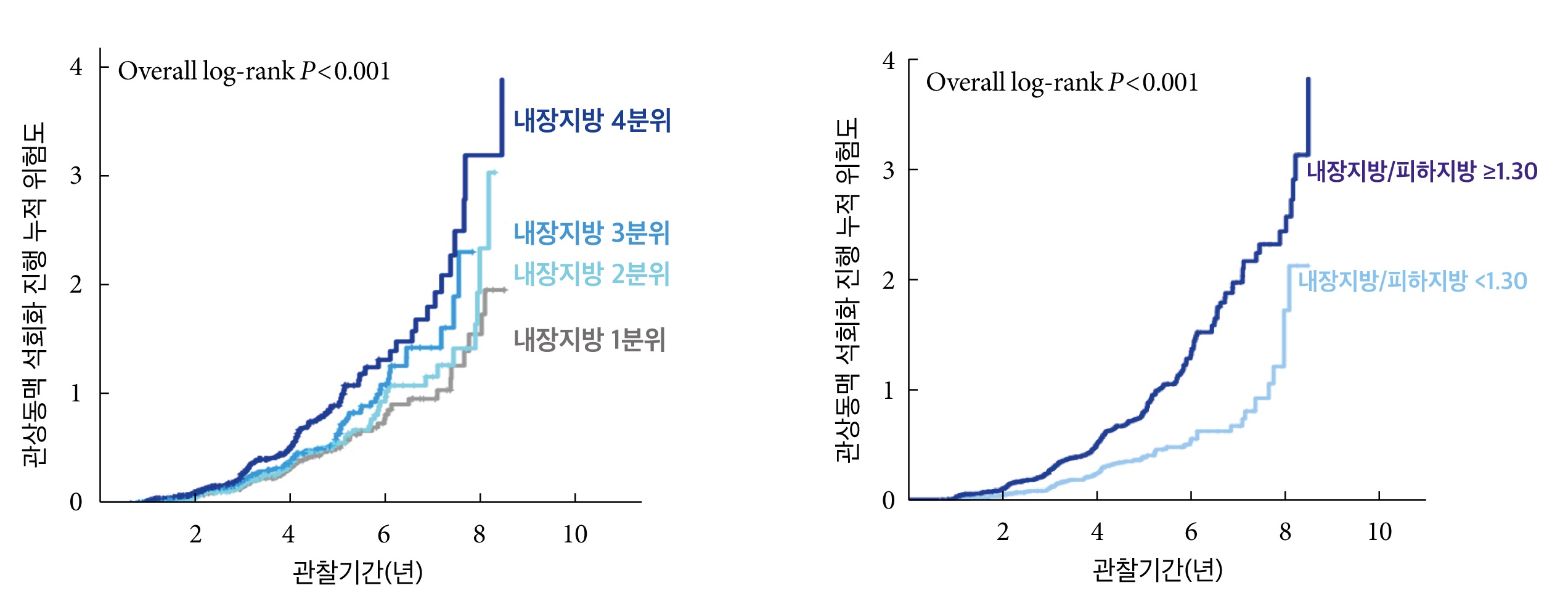 내장지방